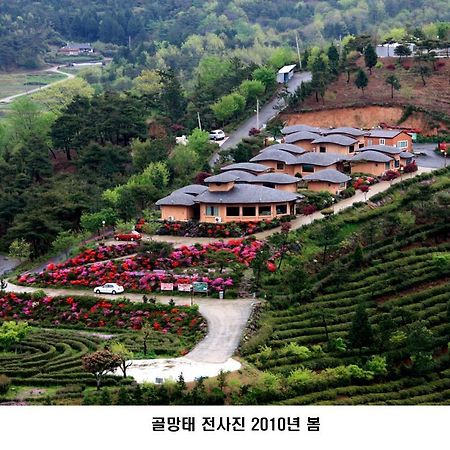 Villa Golmangtae Pension à Boseong Extérieur photo