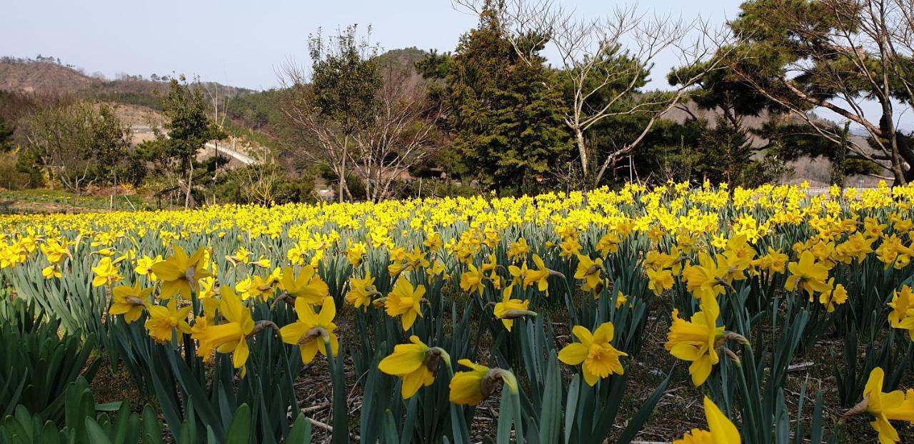 Villa Golmangtae Pension à Boseong Extérieur photo