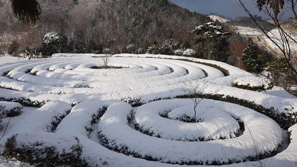 Villa Golmangtae Pension à Boseong Extérieur photo