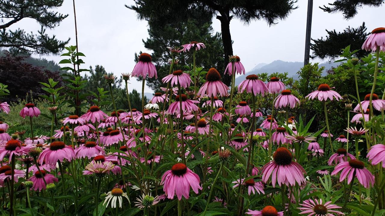 Villa Golmangtae Pension à Boseong Extérieur photo