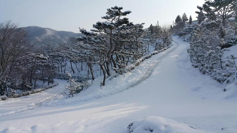 Villa Golmangtae Pension à Boseong Extérieur photo